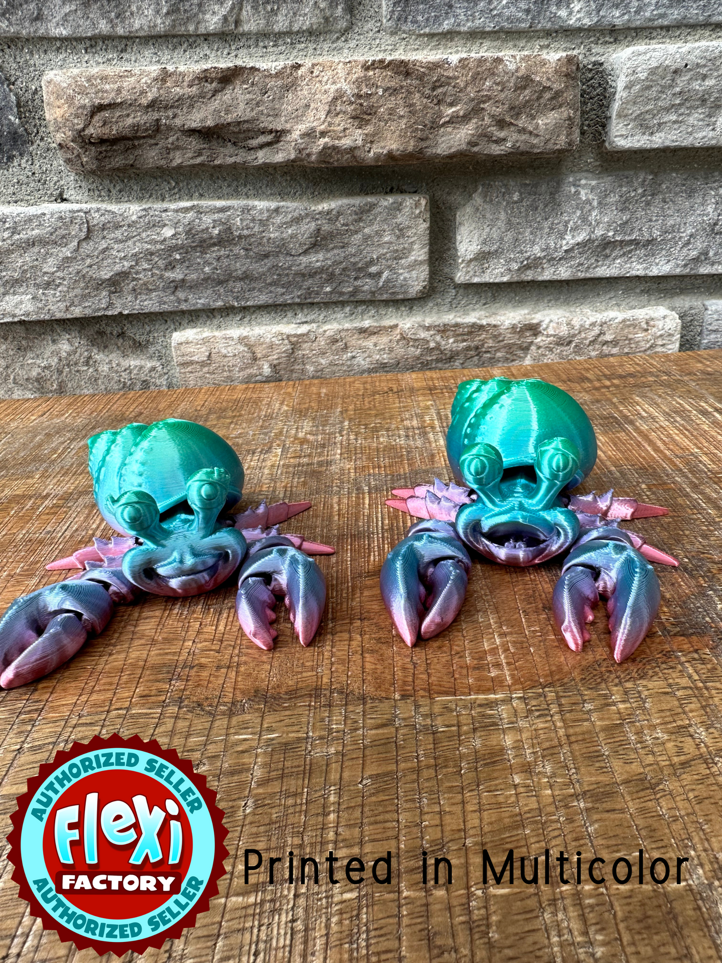 Hermit Crab | Female | 3d Printed | Custom Articulated Flexible Toy