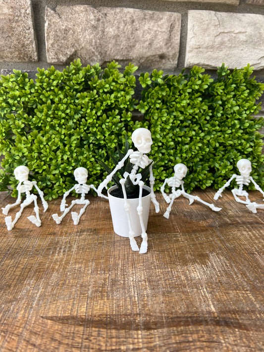 MINI Skeletons | Set of 5 | 3d Printed | Articulated Flexible | Custom Fidget Toy
