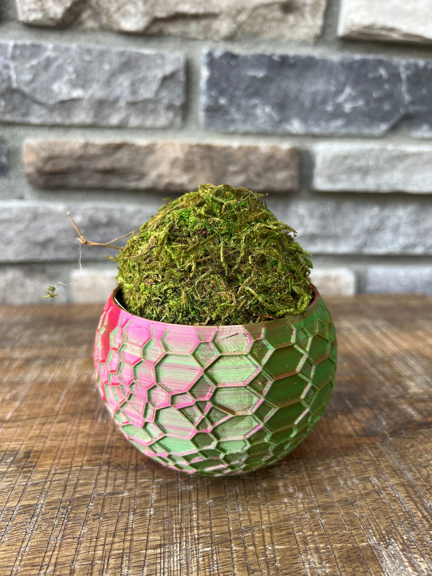 Geometric Patterned Planter | 3d Printed | Custom Succulent Pot | Indoor Garden